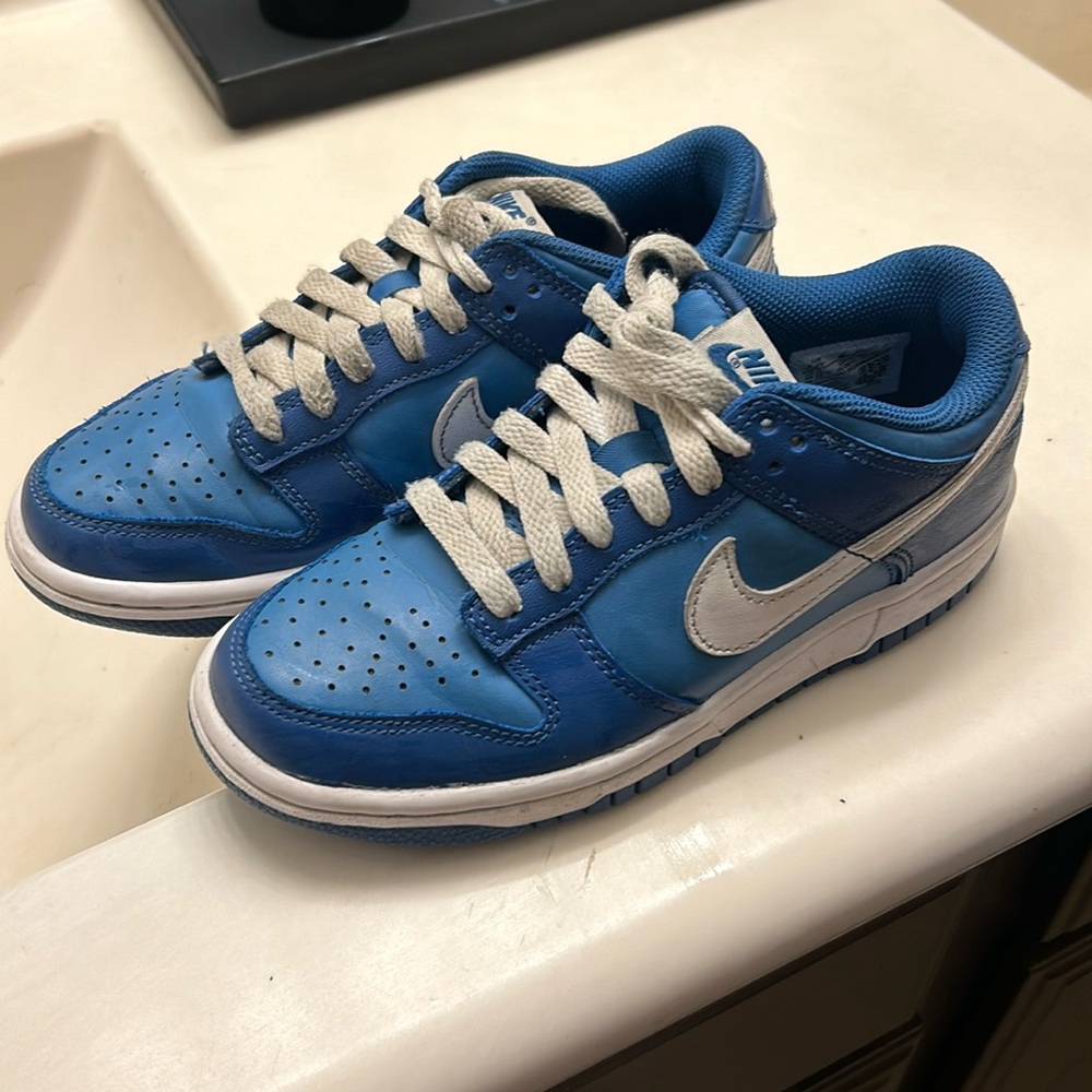 Gently used kids Nike Low top Dunk